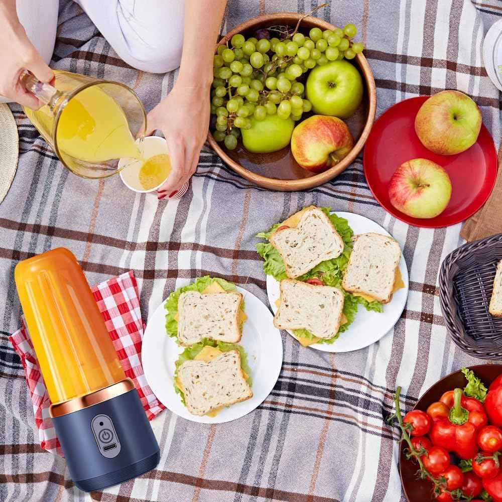 TheBoldFit portable blender Buy one Get one FREE with fresh orange smoothie and picnic spread of fruits and sandwiches